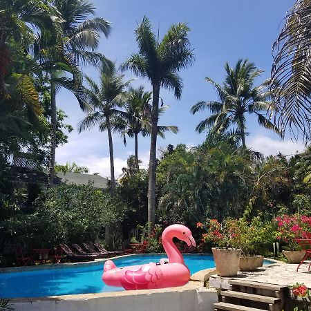 Cabarete Surf Camp Hotel Екстериор снимка