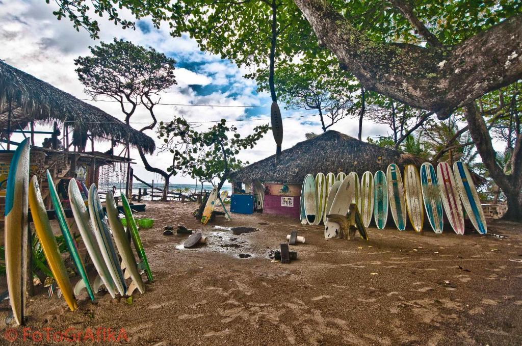Cabarete Surf Camp Hotel Екстериор снимка
