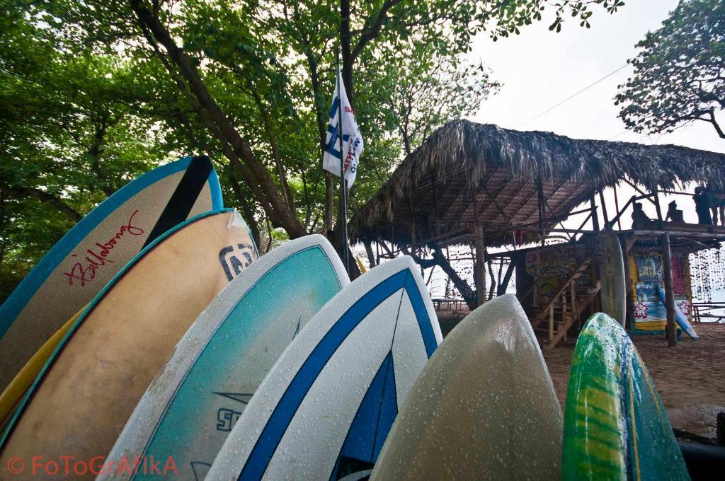 Cabarete Surf Camp Hotel Екстериор снимка