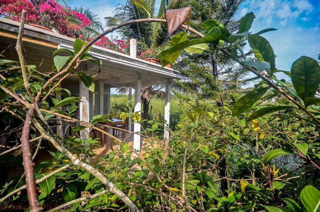 Cabarete Surf Camp Hotel Екстериор снимка