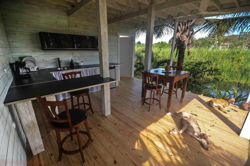 Cabarete Surf Camp Hotel Екстериор снимка