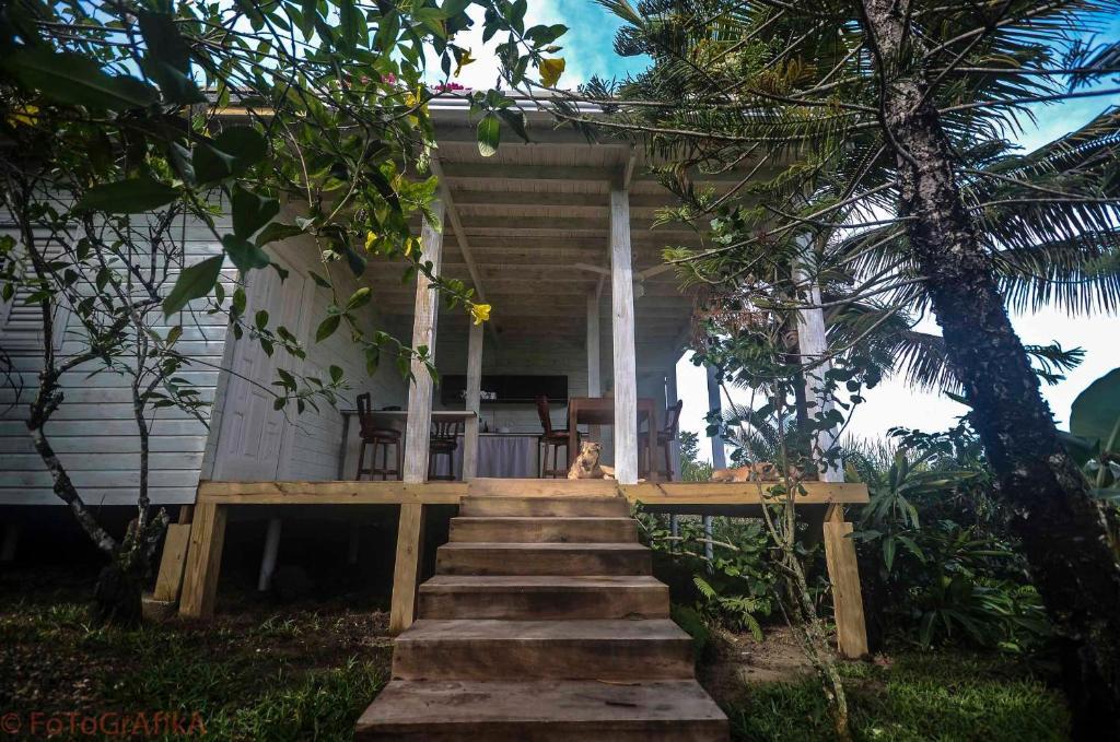 Cabarete Surf Camp Hotel Екстериор снимка