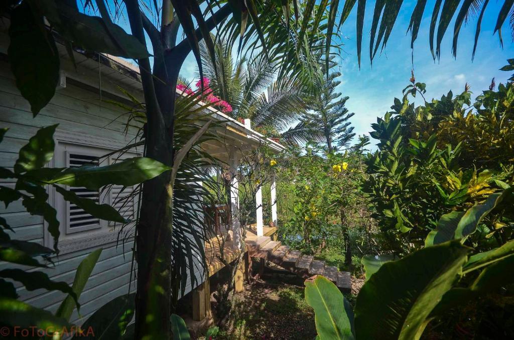 Cabarete Surf Camp Hotel Екстериор снимка