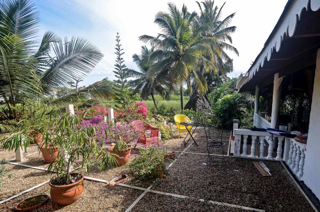 Cabarete Surf Camp Hotel Екстериор снимка
