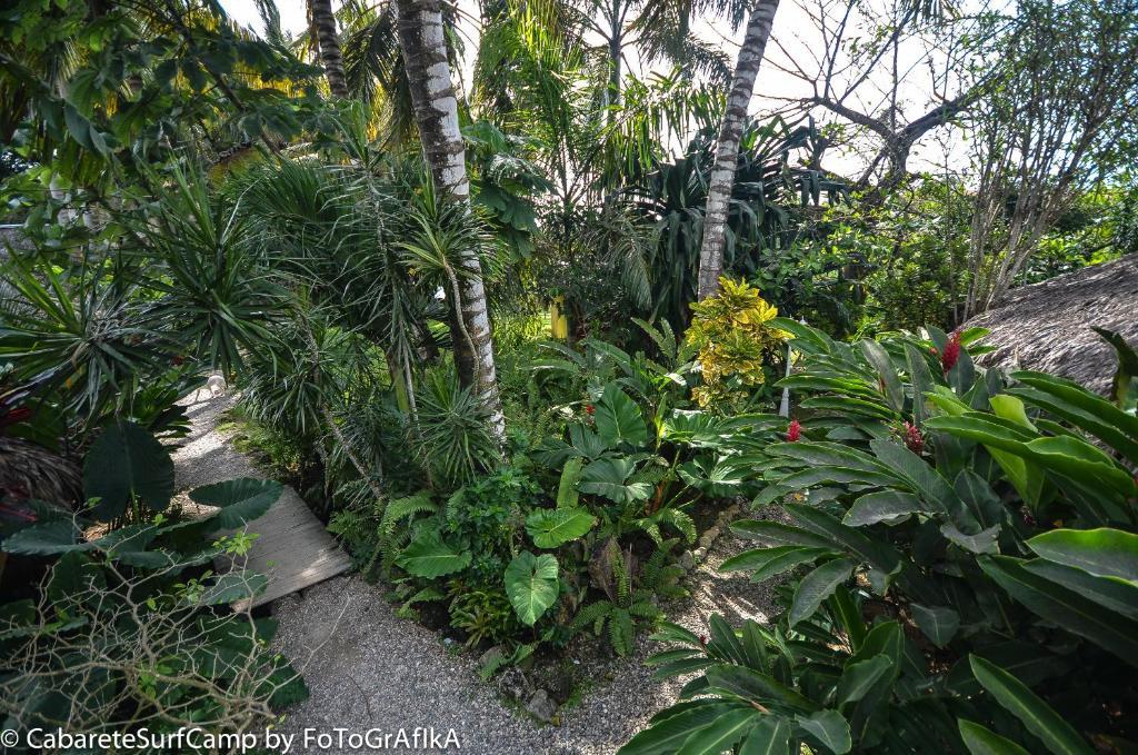 Cabarete Surf Camp Hotel Екстериор снимка
