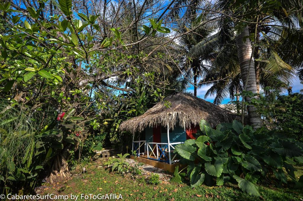 Cabarete Surf Camp Hotel Екстериор снимка