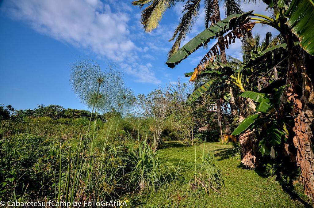 Cabarete Surf Camp Hotel Екстериор снимка