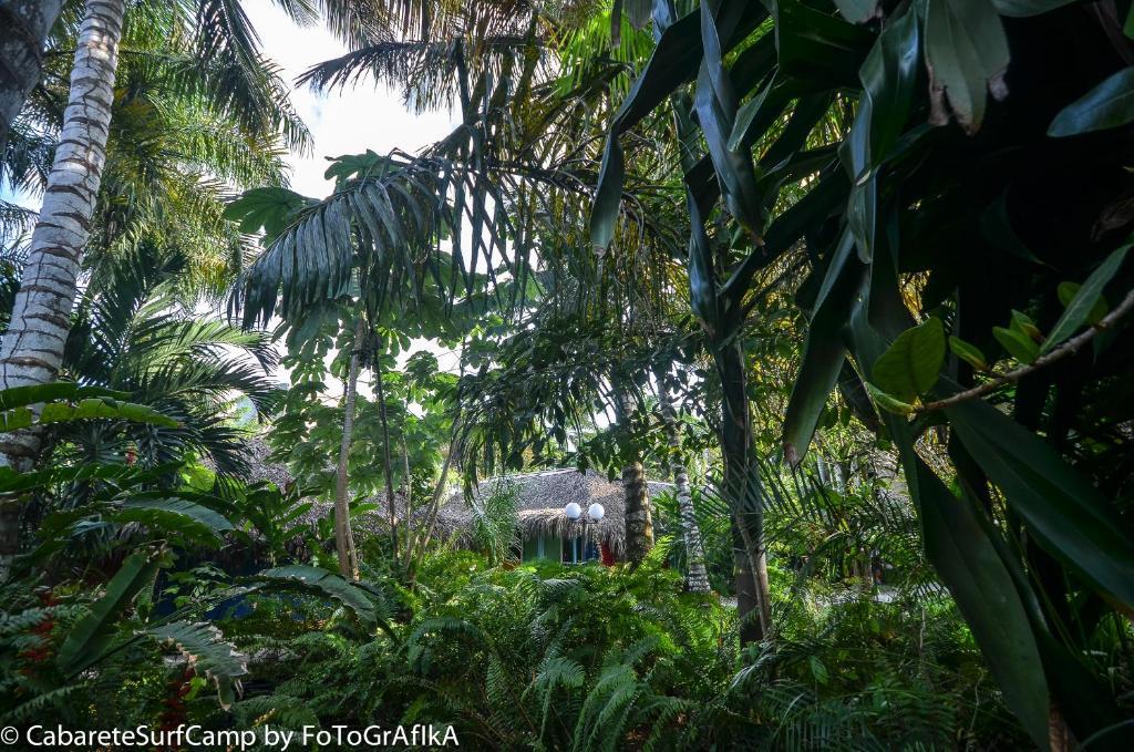 Cabarete Surf Camp Hotel Екстериор снимка