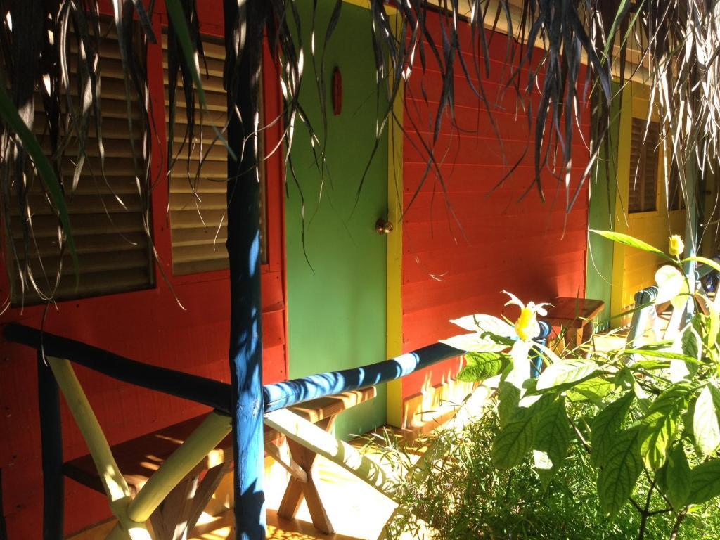 Cabarete Surf Camp Hotel Екстериор снимка