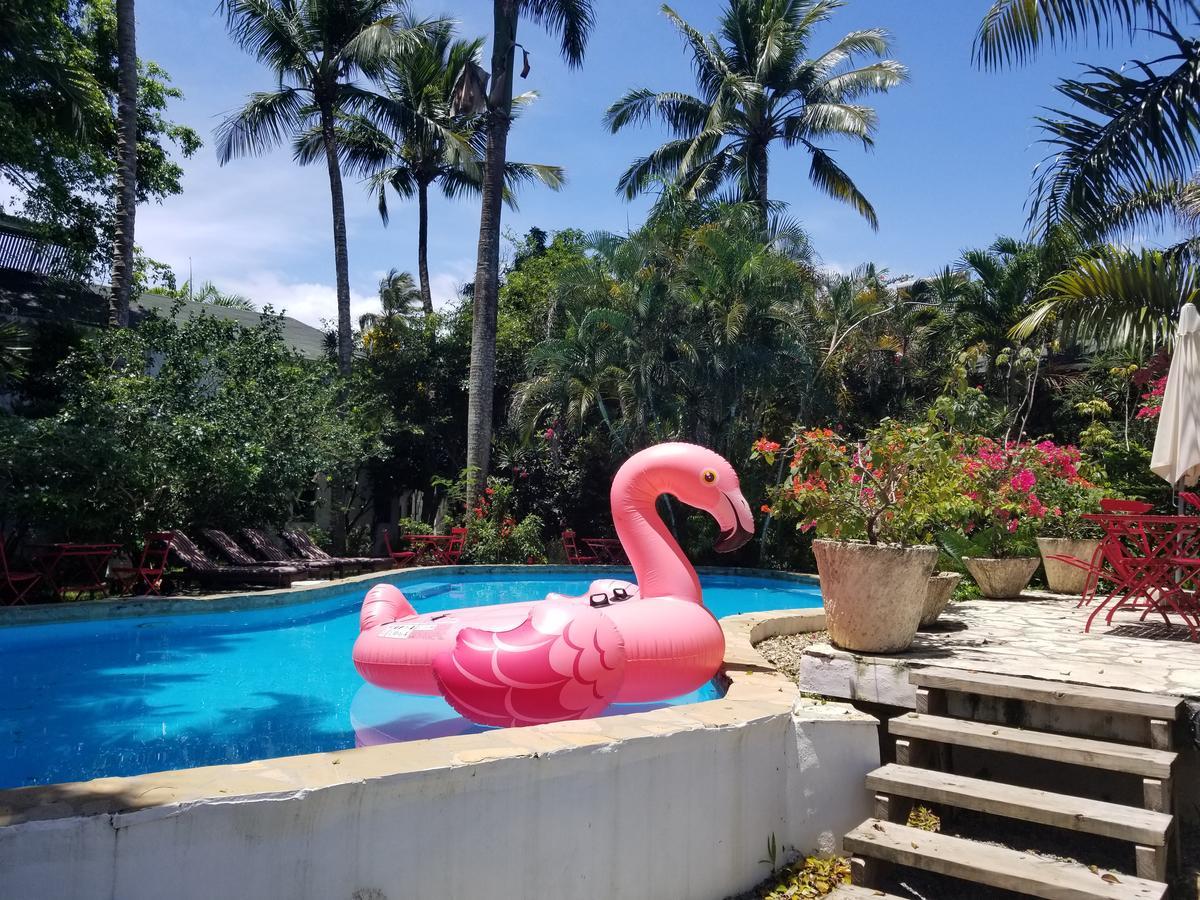 Cabarete Surf Camp Hotel Екстериор снимка