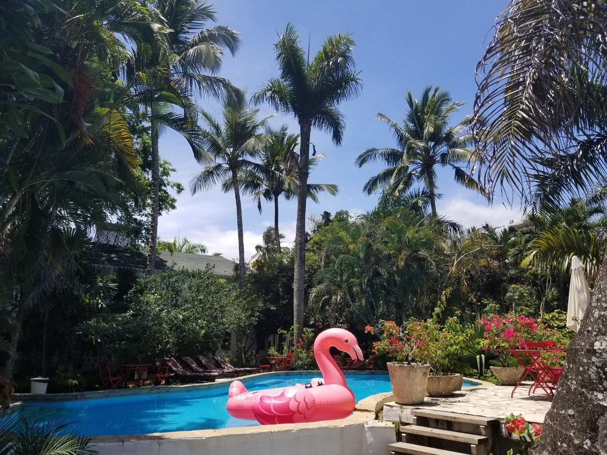 Cabarete Surf Camp Hotel Екстериор снимка