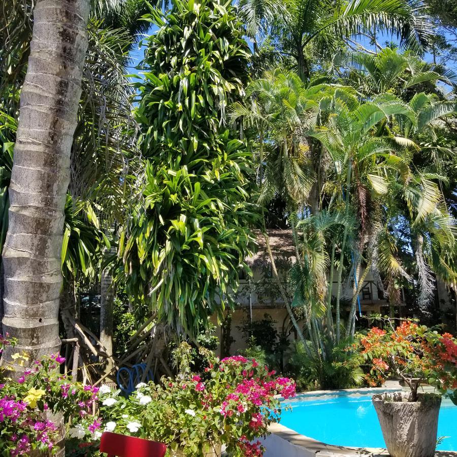 Cabarete Surf Camp Hotel Екстериор снимка