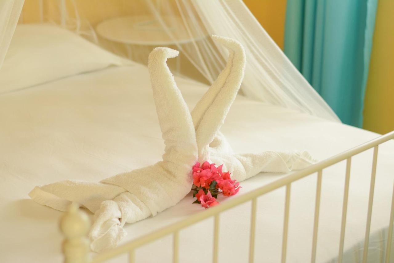 Cabarete Surf Camp Hotel Екстериор снимка