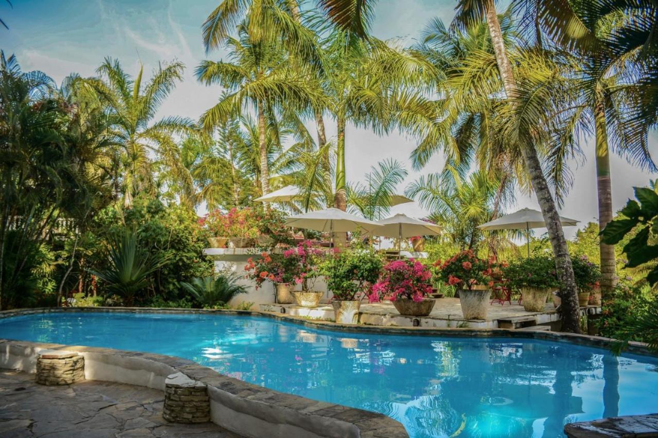Cabarete Surf Camp Hotel Екстериор снимка